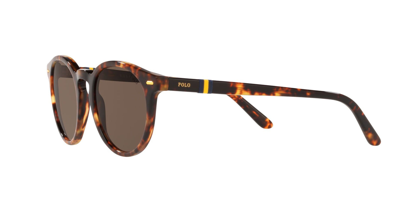 Gafas sol POLO RALPH LAUREN 0PH4151 535173