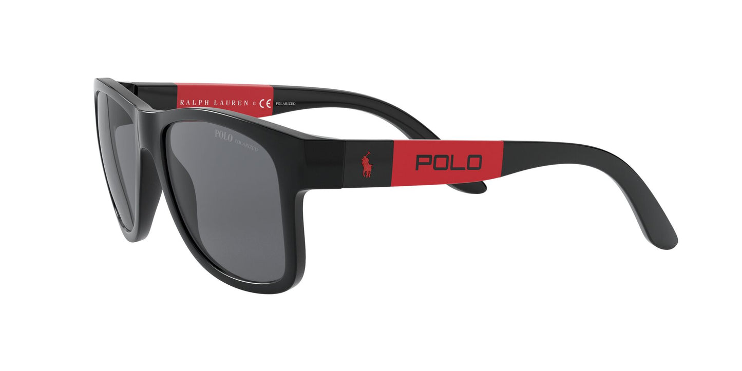 Gafas sol POLO RALPH LAUREN 0PH4162 500181