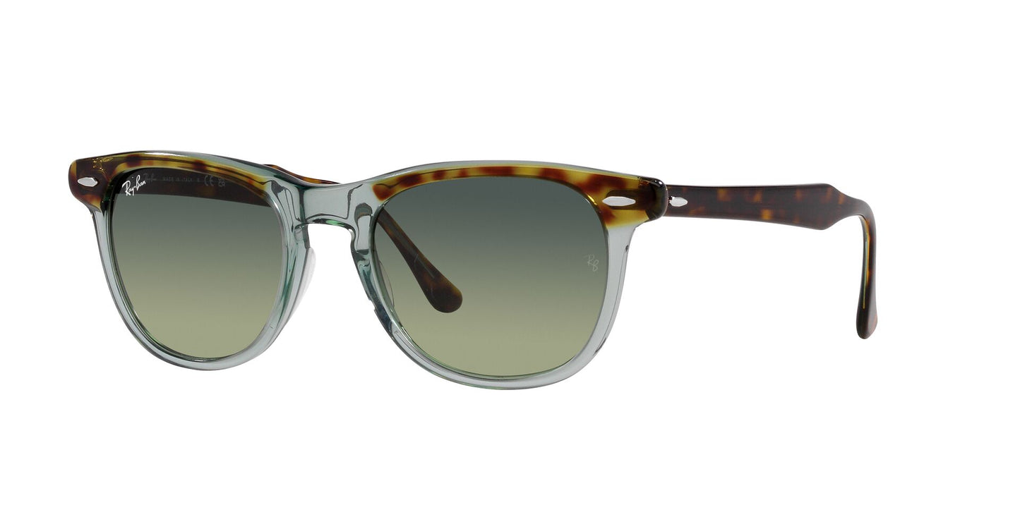 Ray Ban RB2398 1376BH