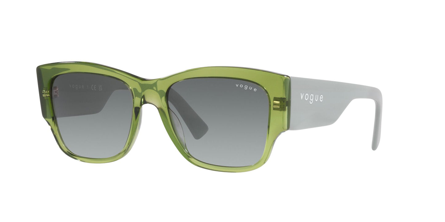 Gafas de sol VOGUE 0VO5462S 295311