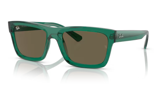 Ray Ban Warren RB4396 6681/3