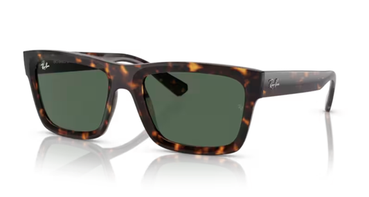 Ray Ban Warren RB4396 135971