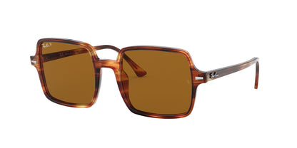 Gafas sol Ray-Ban 0RB1973 95457