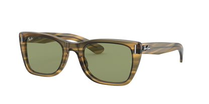 Gafas sol Ray-Ban 0RB2248 13134E