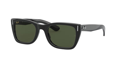 Gafas sol Ray-Ban 0RB2248 90131