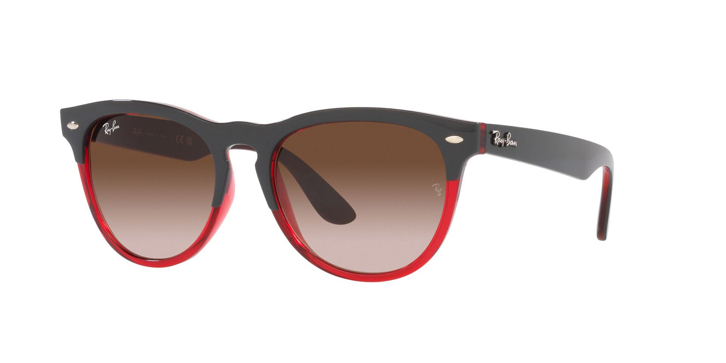 Ray Ban RB4471 663113